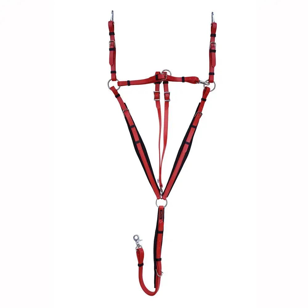 Collier de chasse pour cheval avec martingale Zaldi 1/2