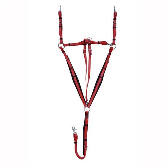 Collier de chasse pour cheval avec martingale Zaldi