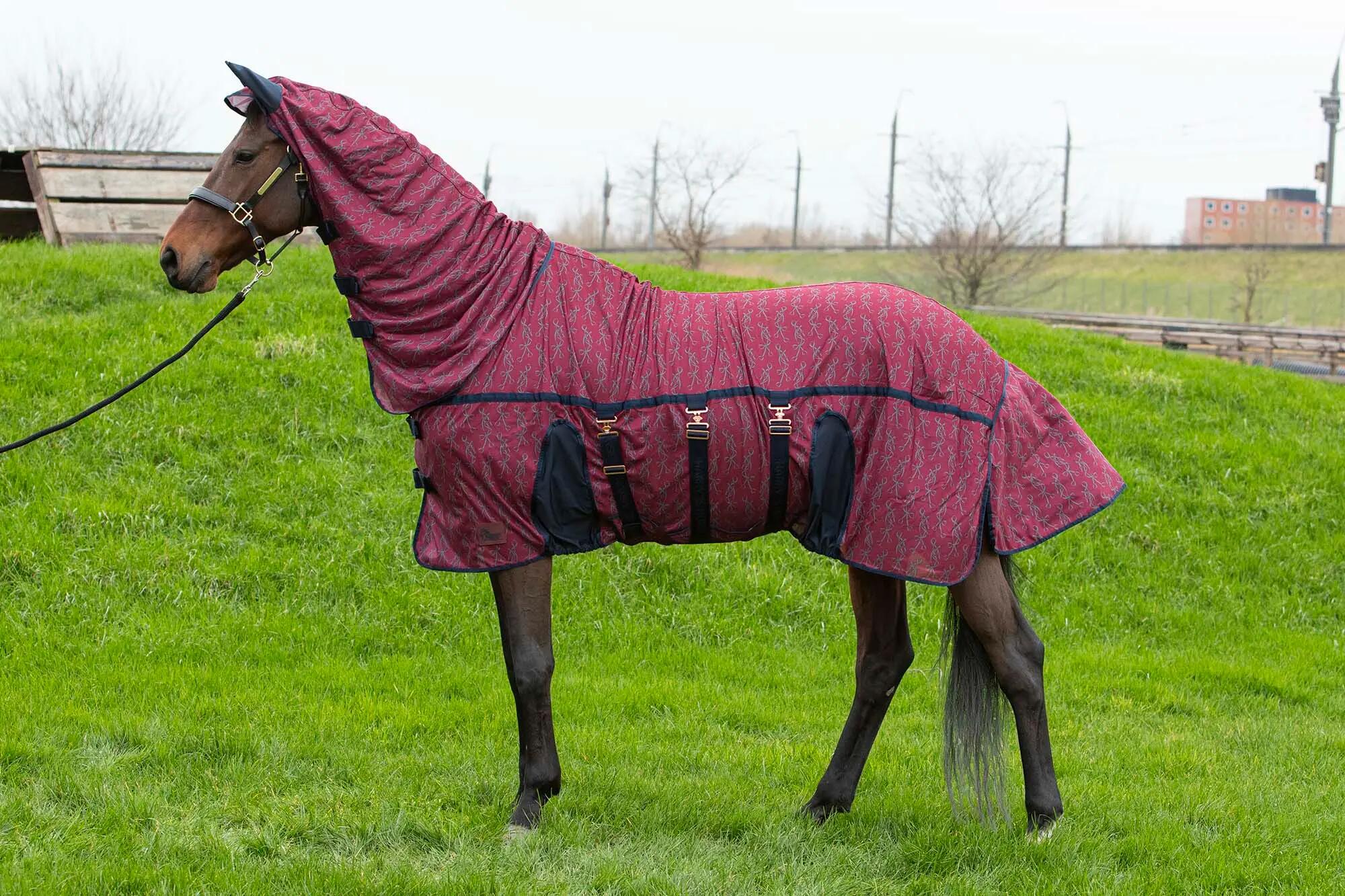 HARRYS HORSE picture