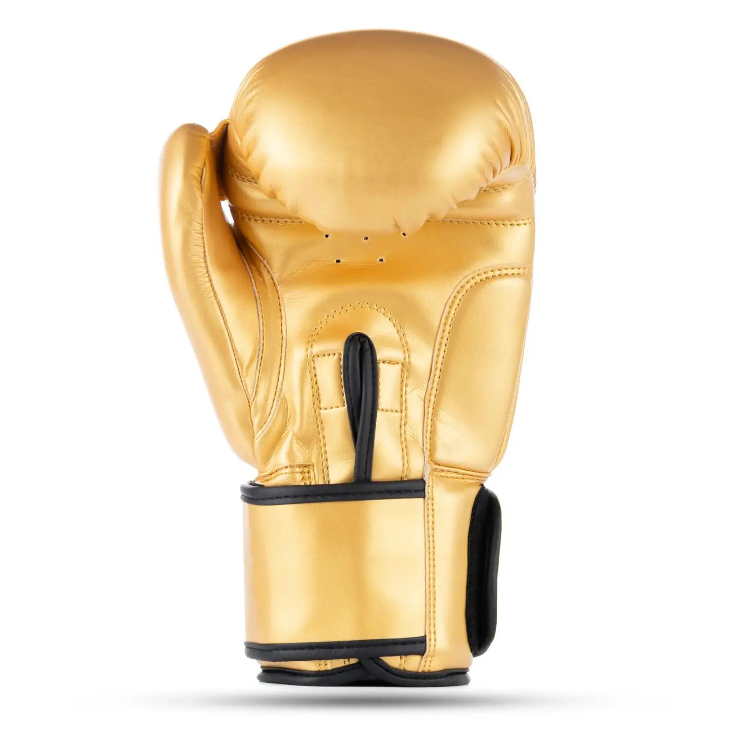 Rękawice bokserskie Taver GOLDEN Origin Series DBX Bushido 6/7