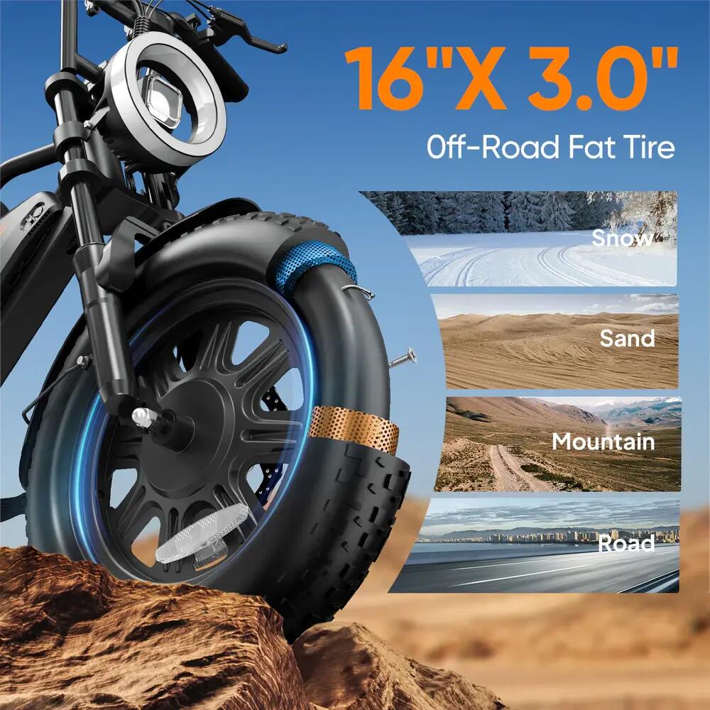 Adult E-bike URLIFE T16, 250W, 48V 13Ah Battery, 16" Fat Tyres 8/11