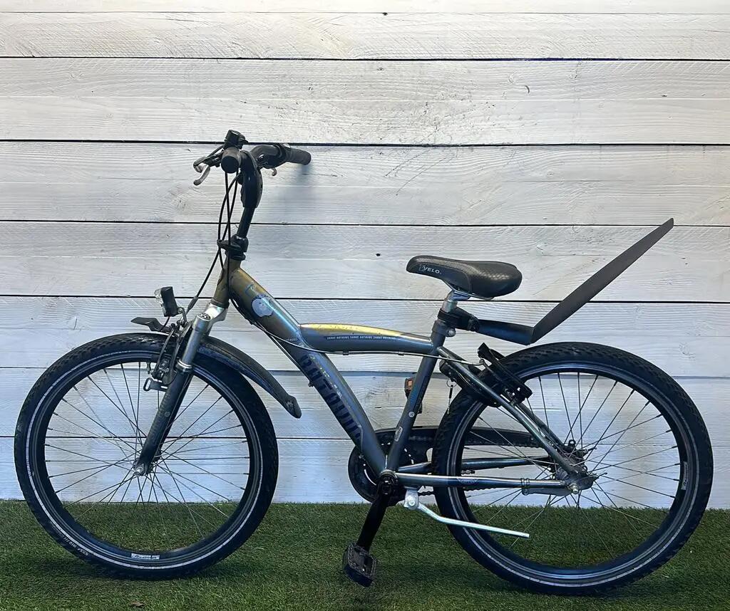 Bicicleta usada Batavus Snake 4/4