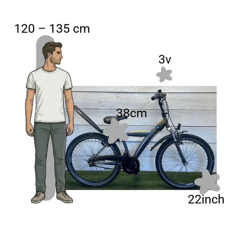 Bicicleta usada Batavus Snake 2/4