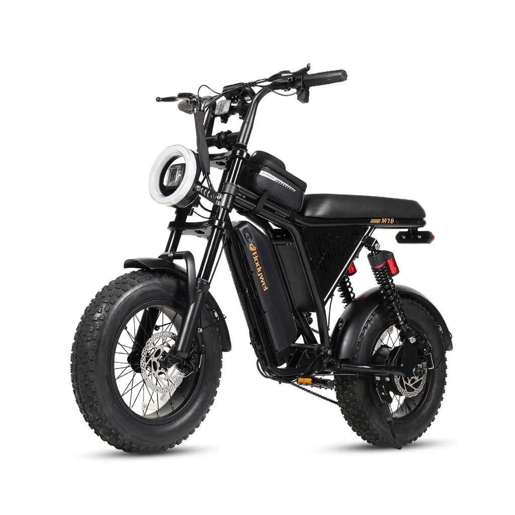 Electric Bike for adult Bodywel M16Pro 48V 15AH battery 250W motor