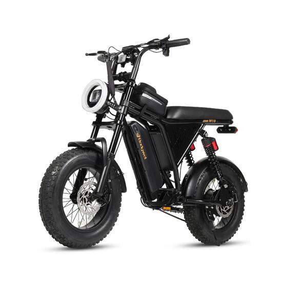Vélo électrique pour adultes Bodywel M16Pro batterie 48V 15Ah moteur 250W