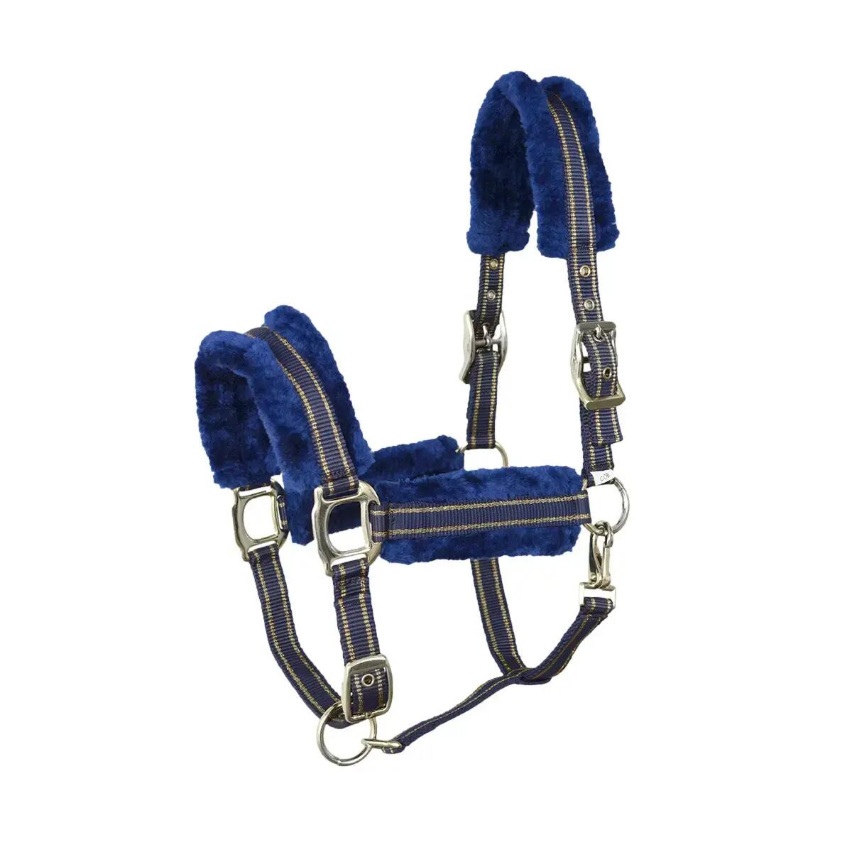 LEXHIS picture