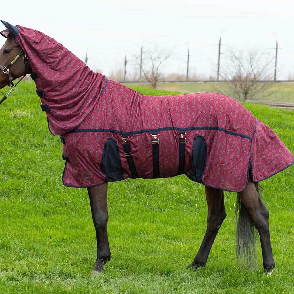 Anti-Fly Sheet Harry's Horse Mesh Superior