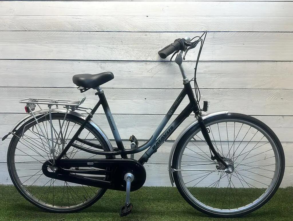 BATAVUS picture