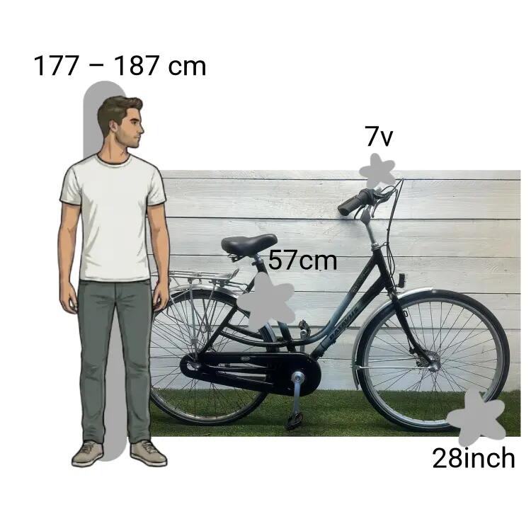 Bicicletta usata Batavus Staccato 2/4