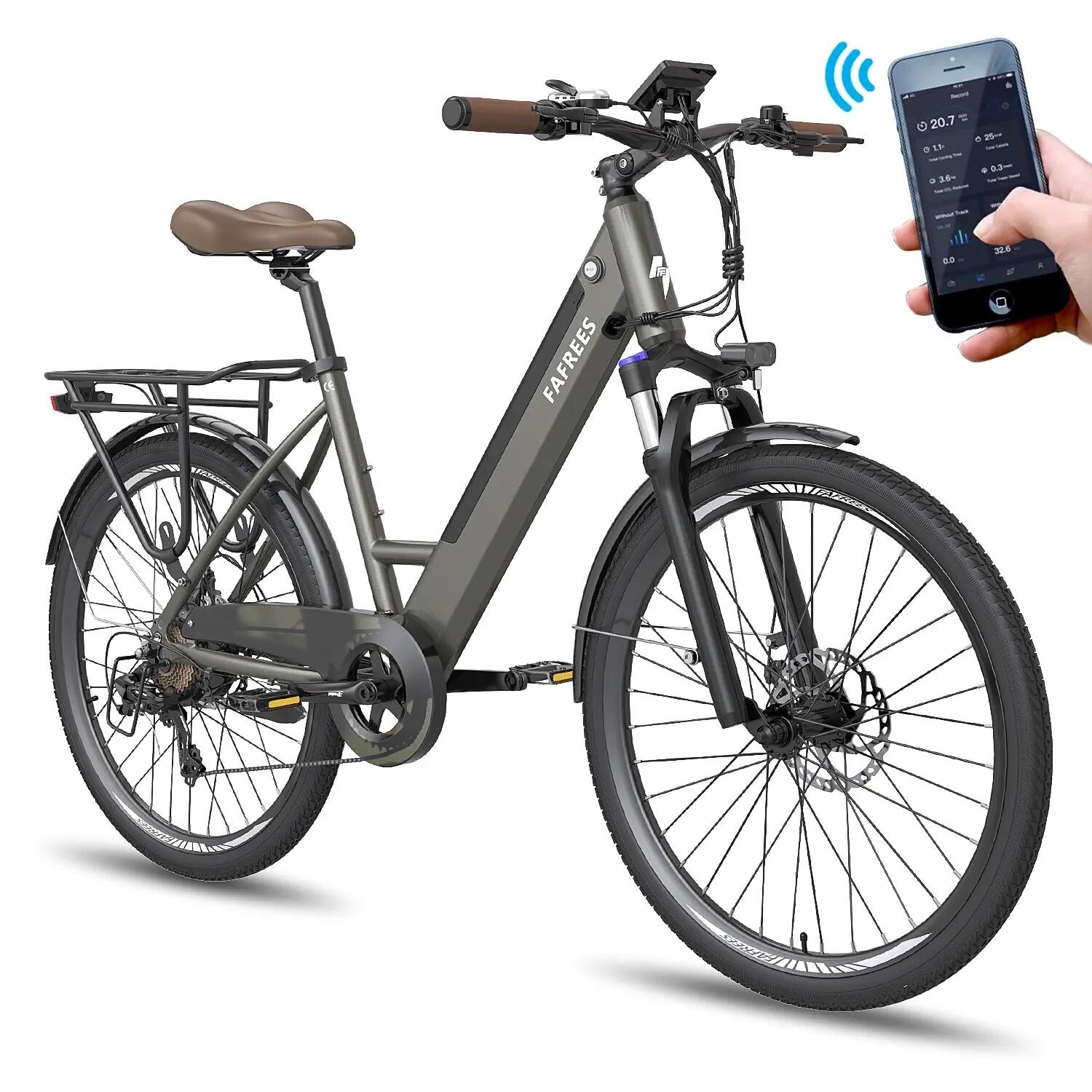 Stads elektrische fiets FAFREES F26 Pro 250W 36V15Ah accu 26" band 6/7