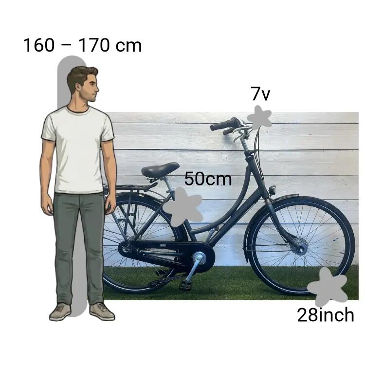 Bicicletta usata Batavus Diva 2/4