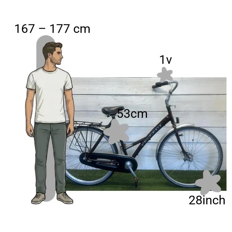 Bicicletta usata Peugeot 2/4