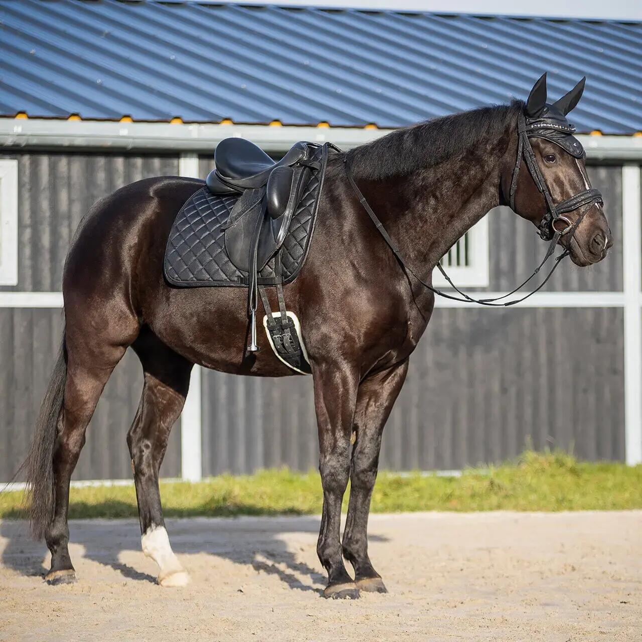 Reins for horses QHP Web Glitter 3/3