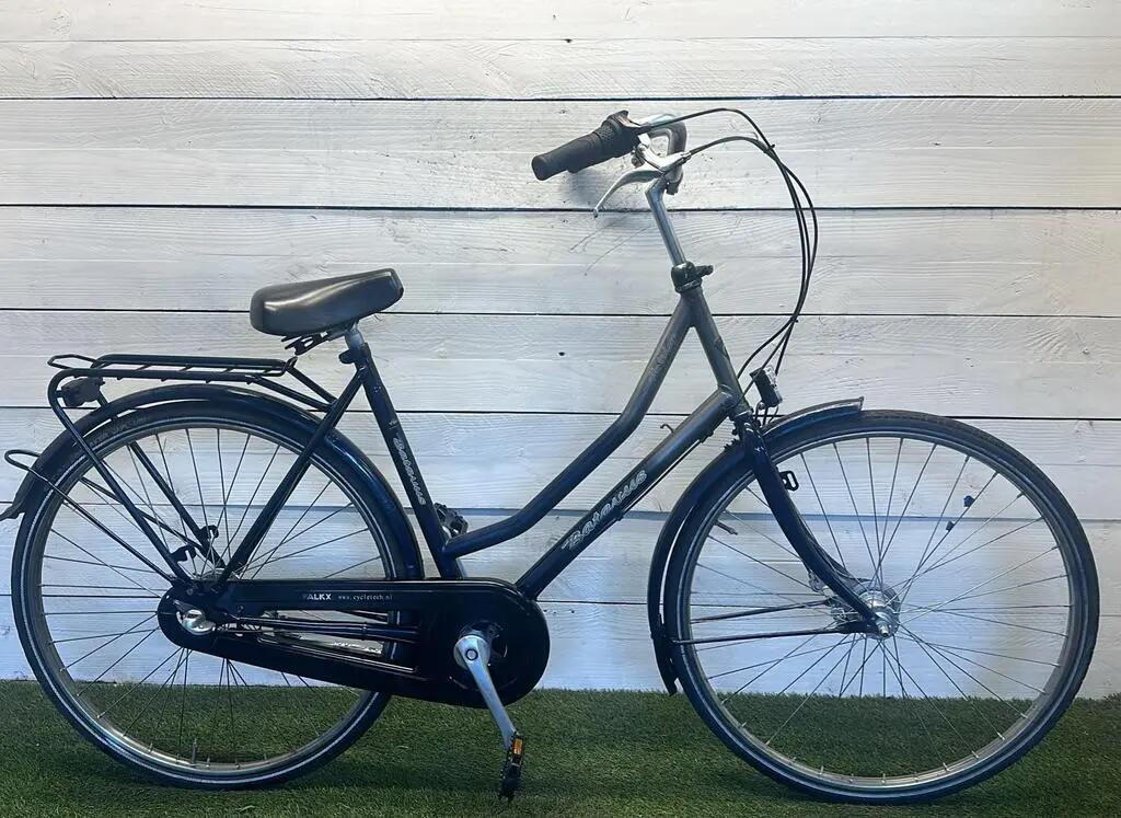 BATAVUS picture