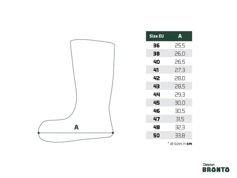 Semelle de rechange BRONTO | taille 42 3/3