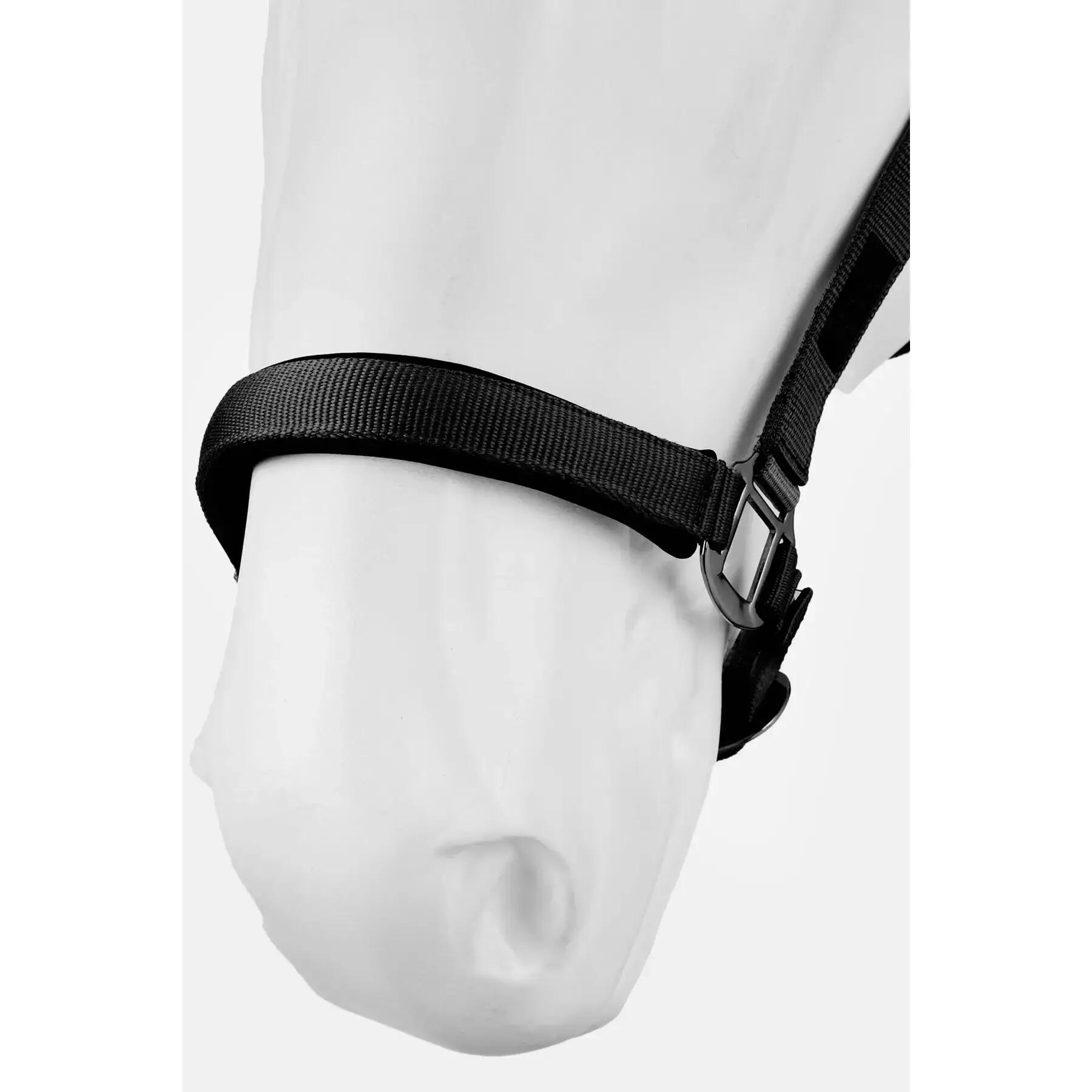 Cabresto para cavalos Horze 3/5