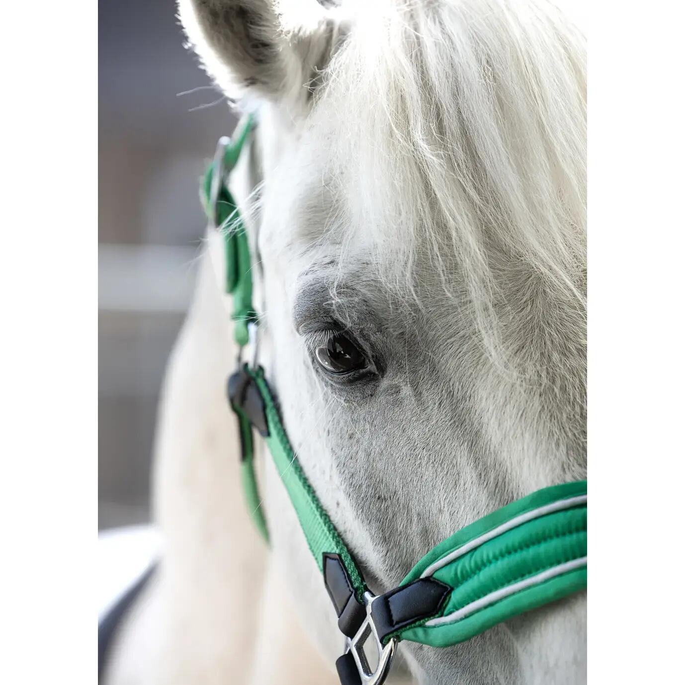 Licol pour cheval HKM Kids Maui- für Shettys 2/2