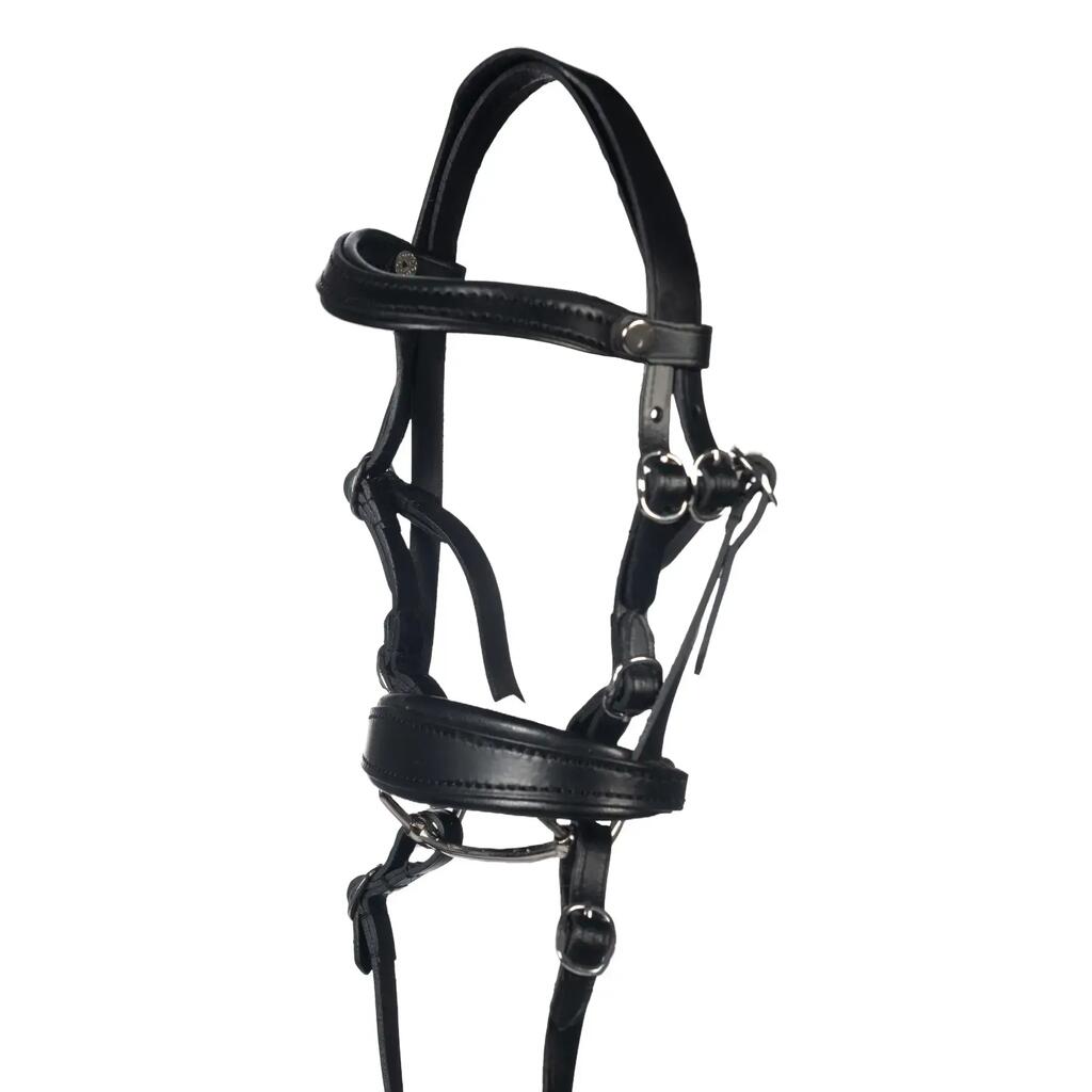 Riding bridle HKM Kids Basic