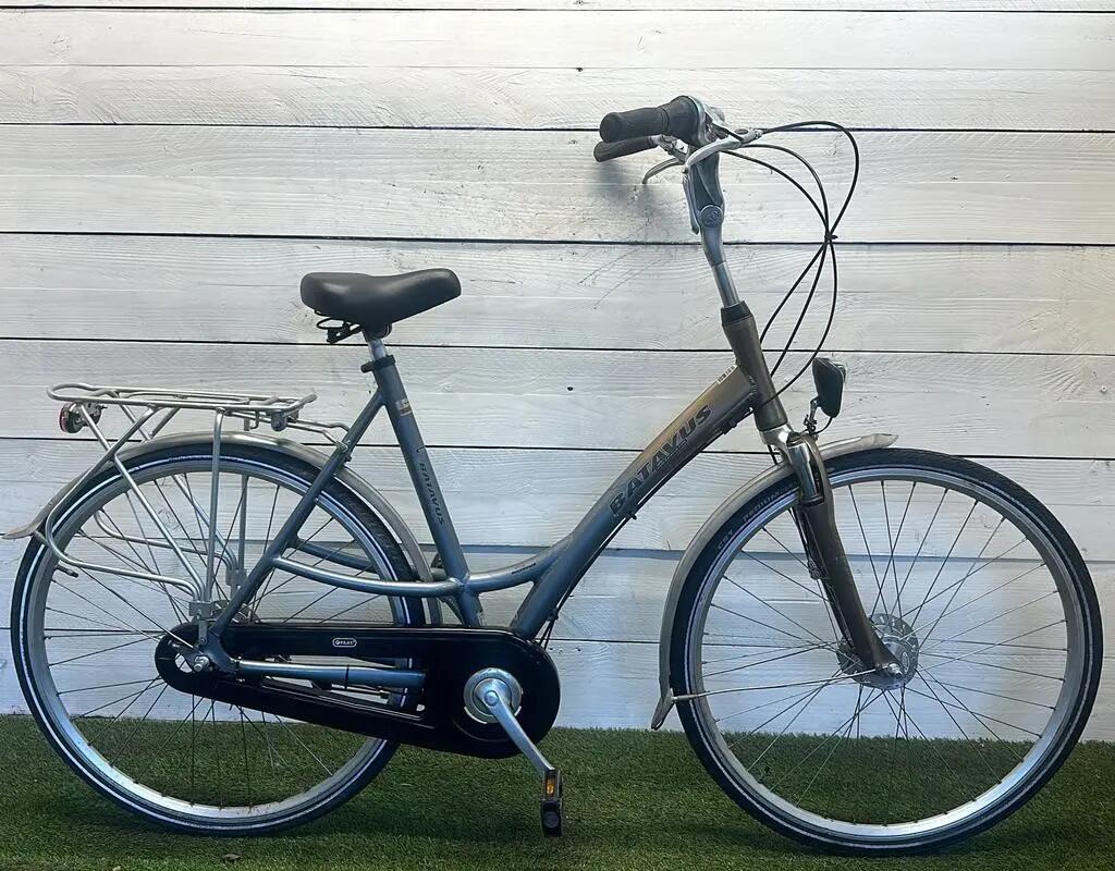 BATAVUS picture