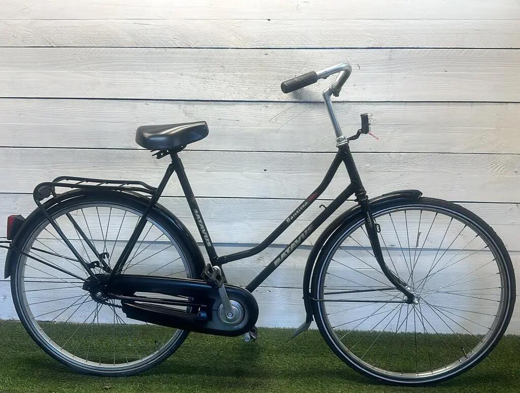BATAVUS picture