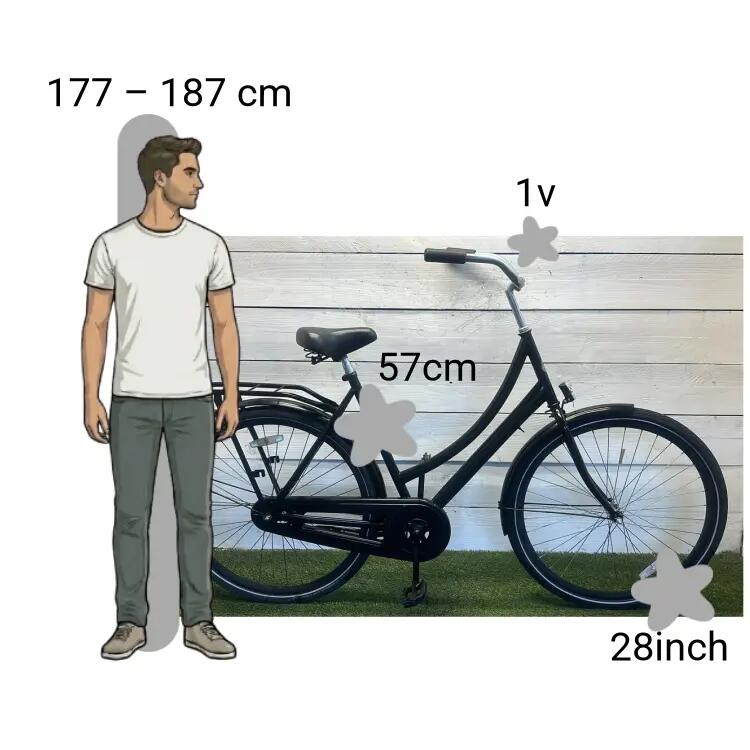 Bicicletta usata Spirit 2/4