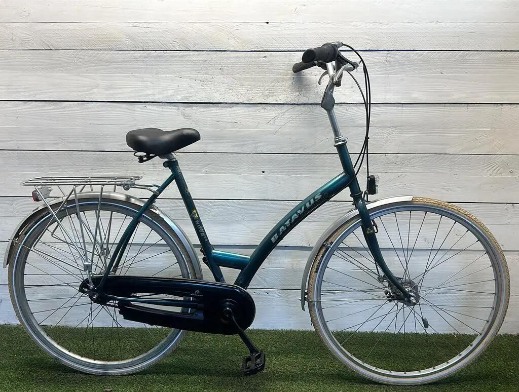 BATAVUS picture