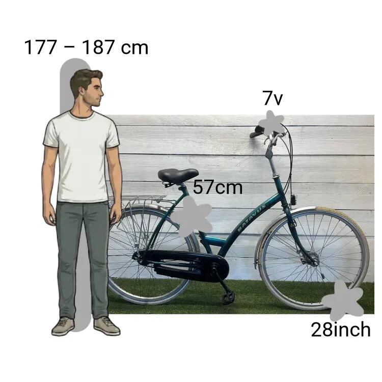 Bicicletta usata Batavus Genova 2/4