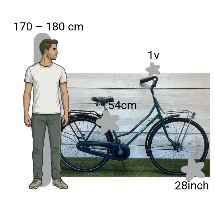 Bicicletta usata Batavus Locarno 2/4