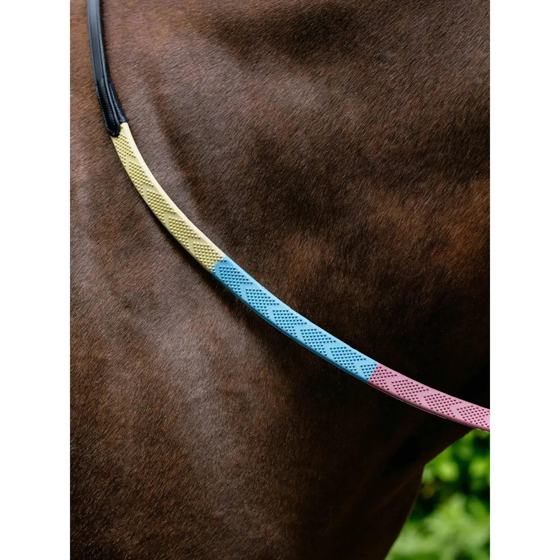 Teugels voor paarden LeMieux 2/6