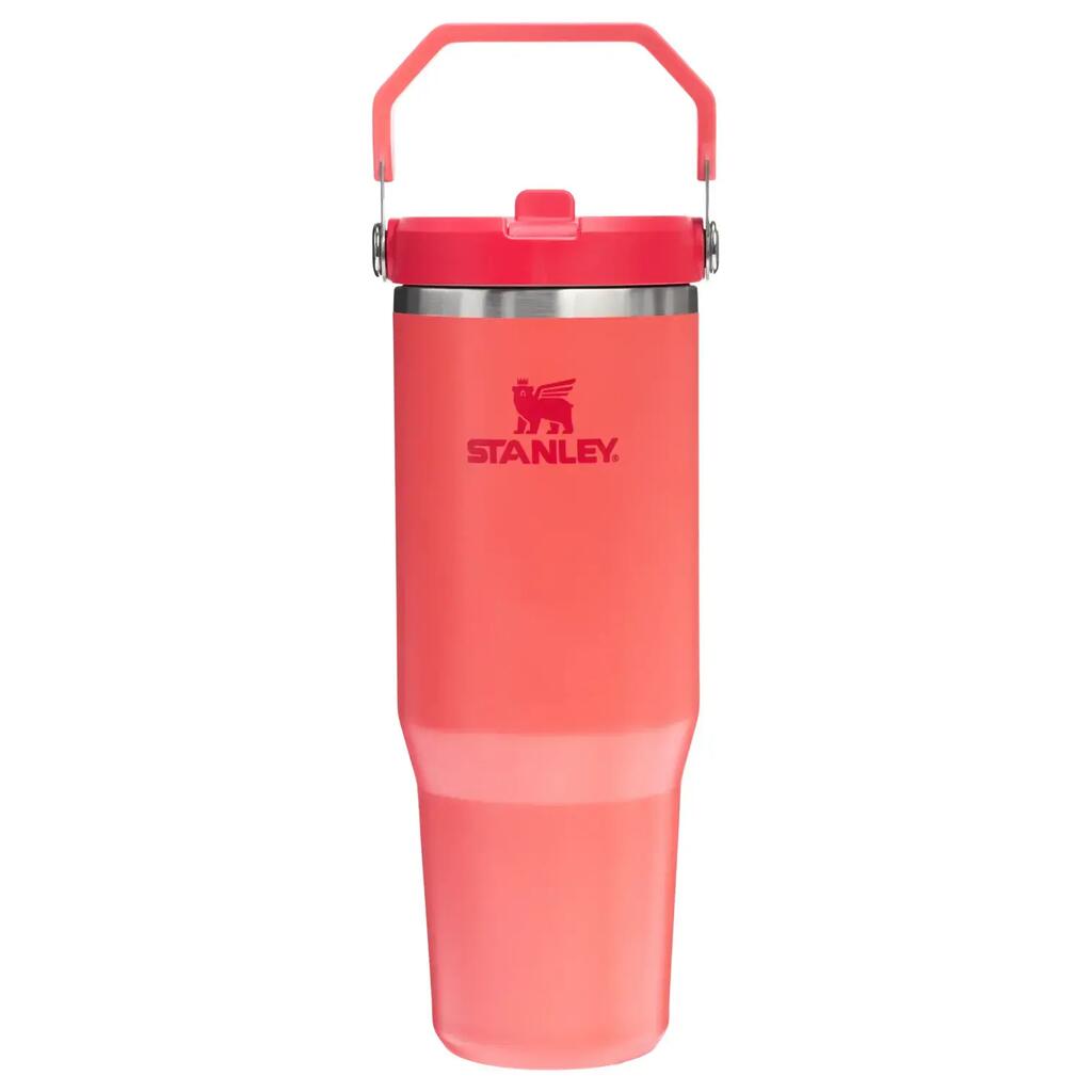 Cup Stanley The IceFlow™ Flip Straw 2.0