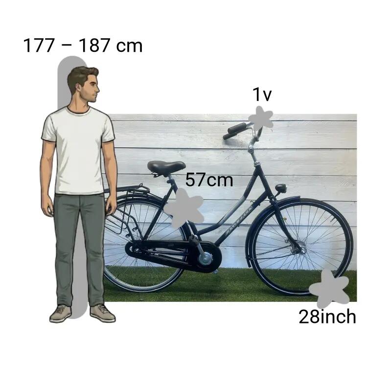 Bicicletta usata Altra Spring 2/4