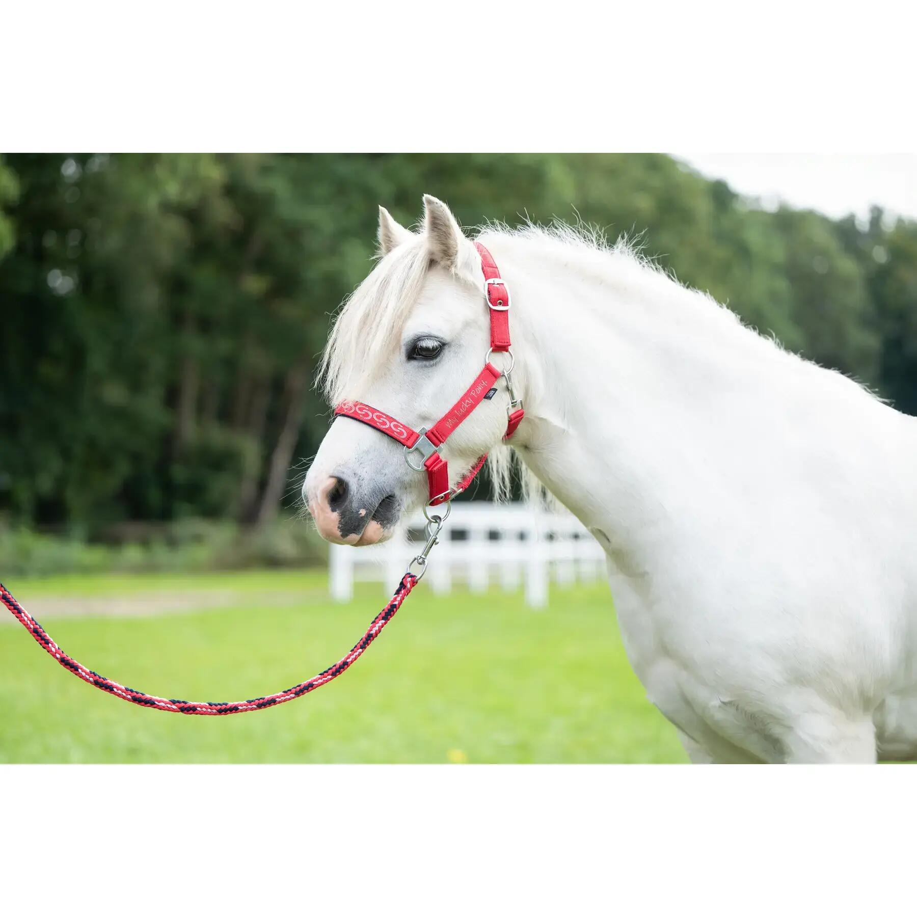 Longe Reiten mit Karabinerhaken HKM Kids Aymee 2/2