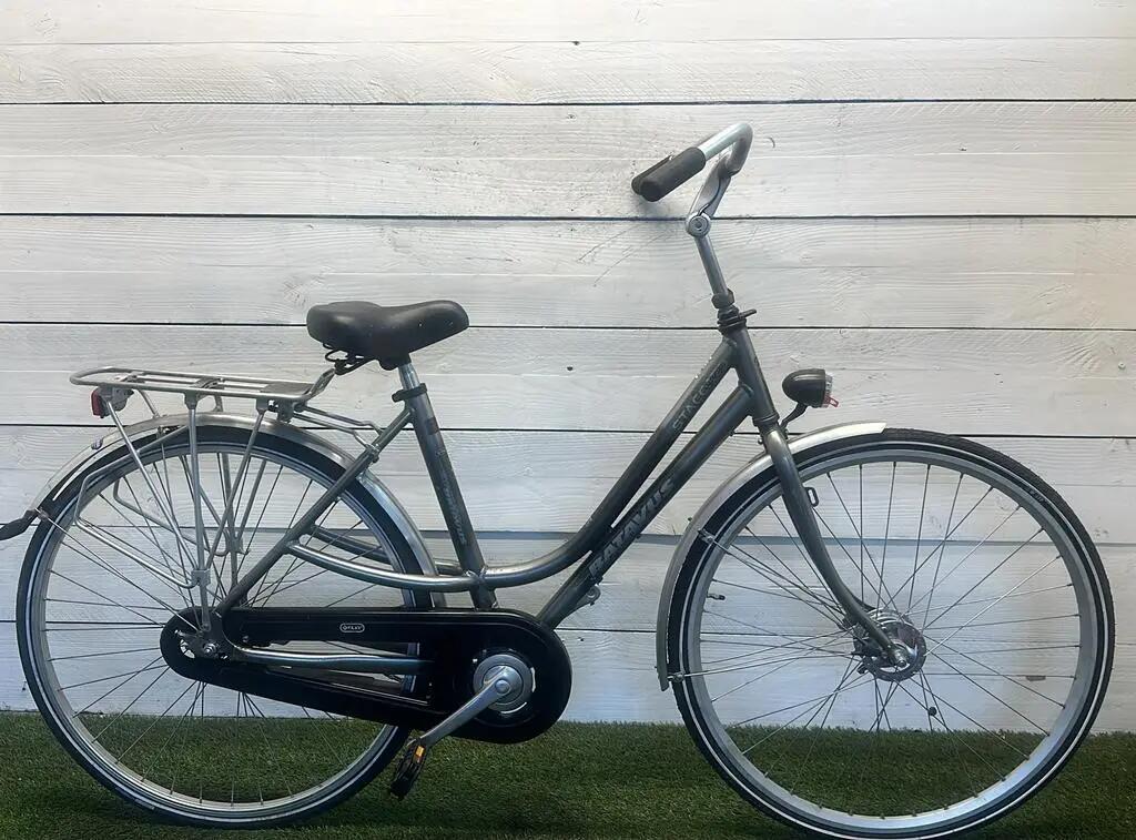 BATAVUS picture