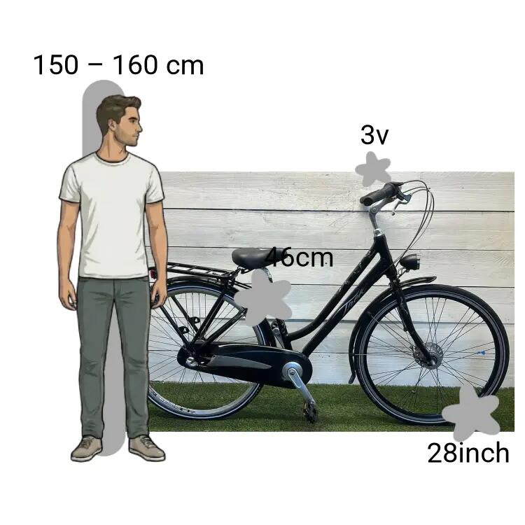 Bicicletta usata Trek Paris 2/4