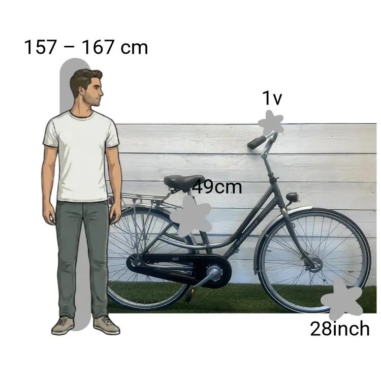 Bicicletta usata Batavus Staccato 2/4