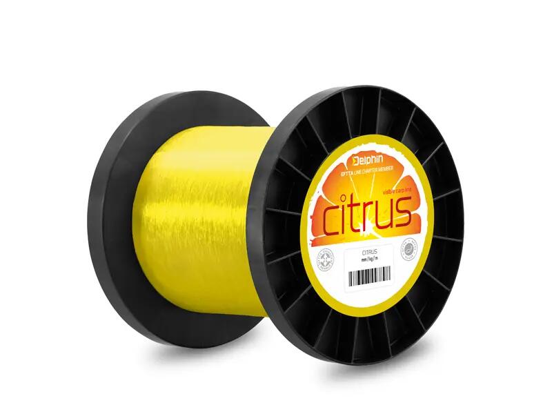 CITRUS / giallo 1/1