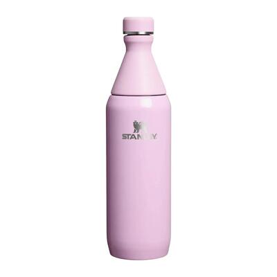 Stanley the all-day slim bottle 0.6l - cream