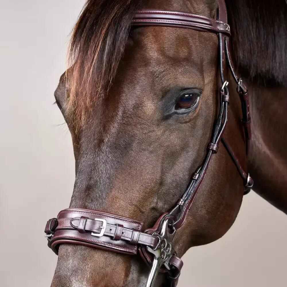 Hackamore per cavallo Dy'on New English Collection 7/7