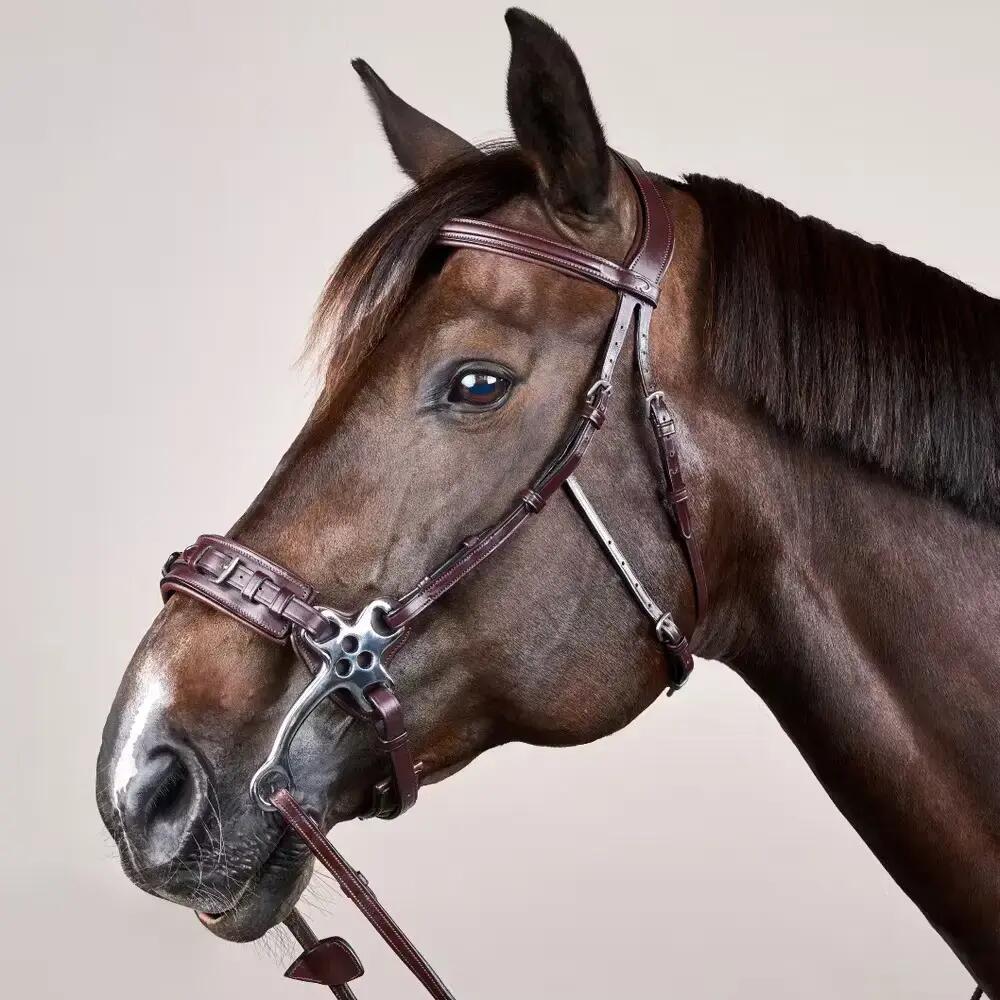 Hackamore per cavallo Dy'on New English Collection 5/7