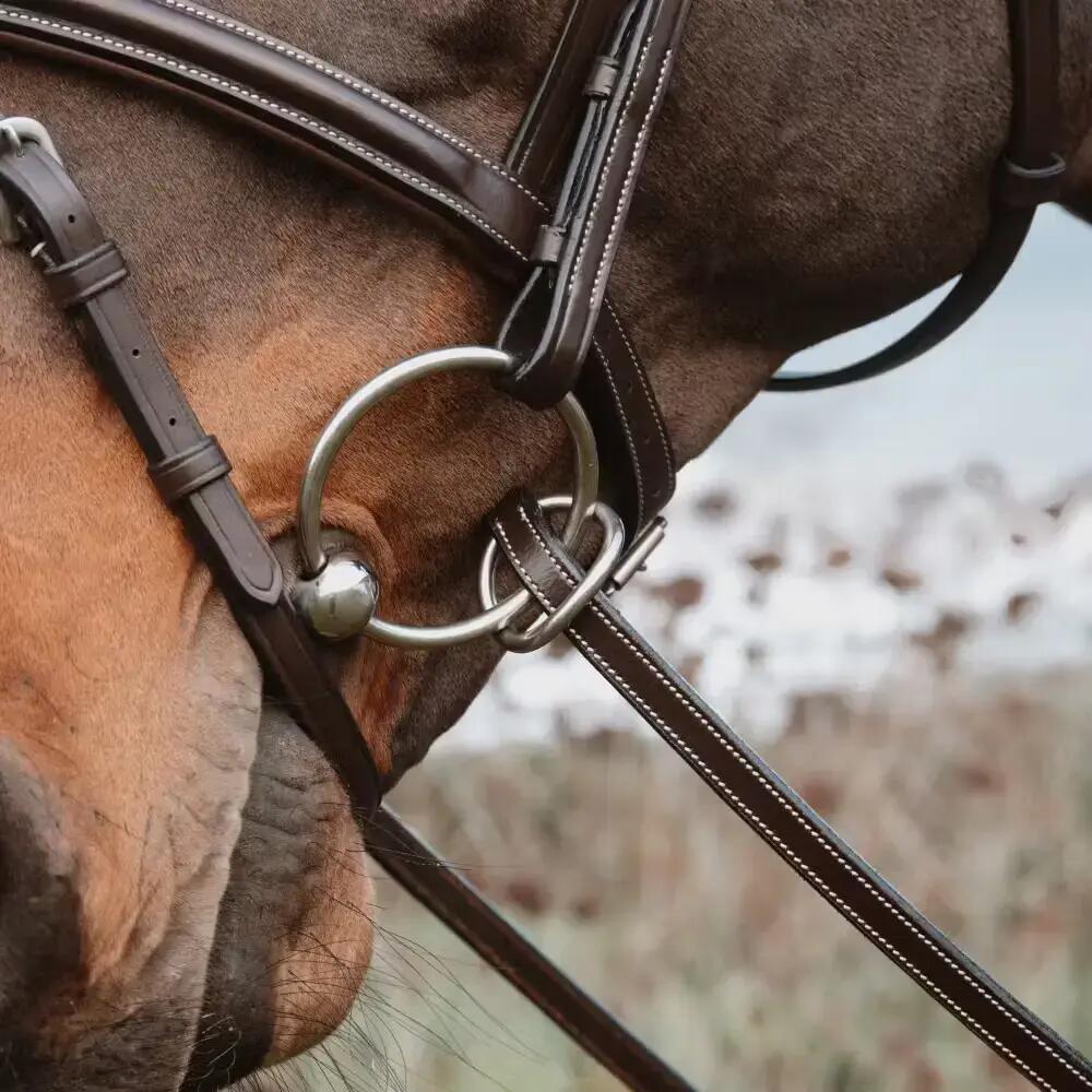 Rênes pour cheval en caoutchouc avec 7 arrêtoirs en cuir, fermeture à anneaux, s 6/6