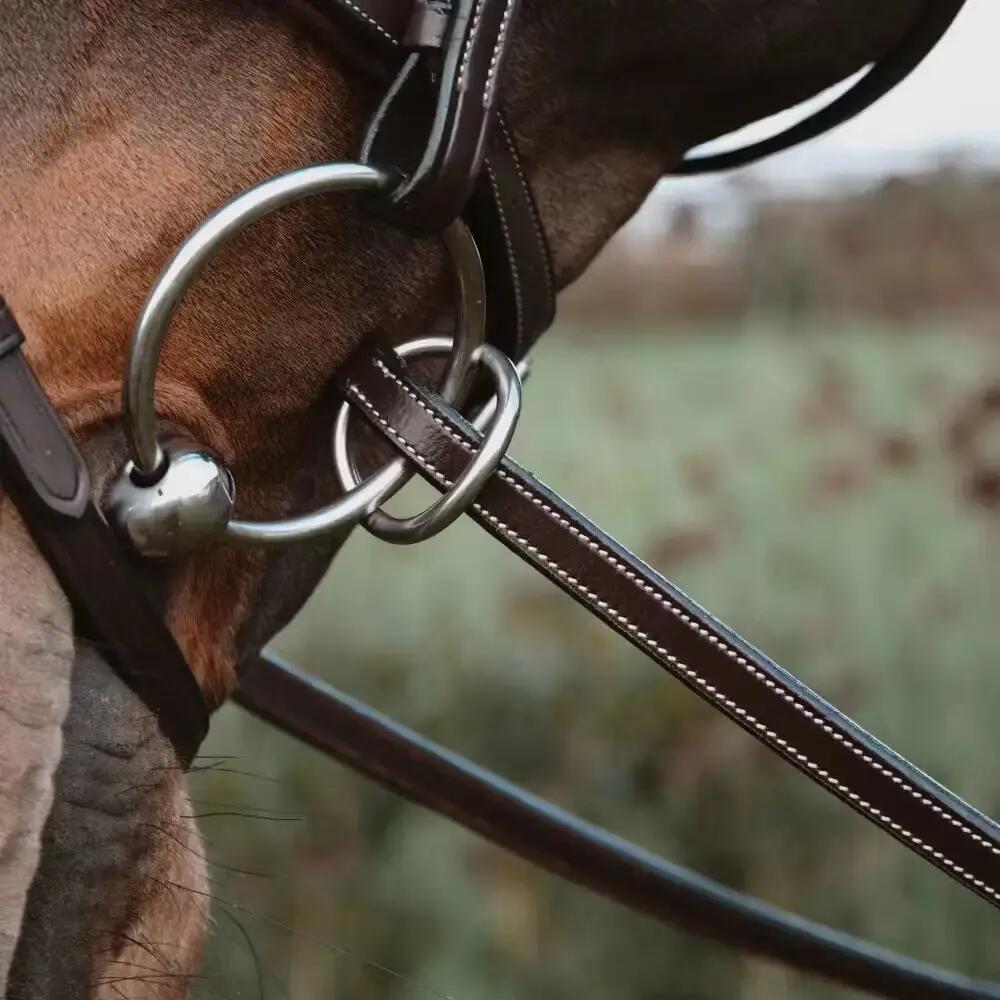Rênes pour cheval en caoutchouc avec 7 arrêtoirs en cuir, fermeture à anneaux, s 5/6