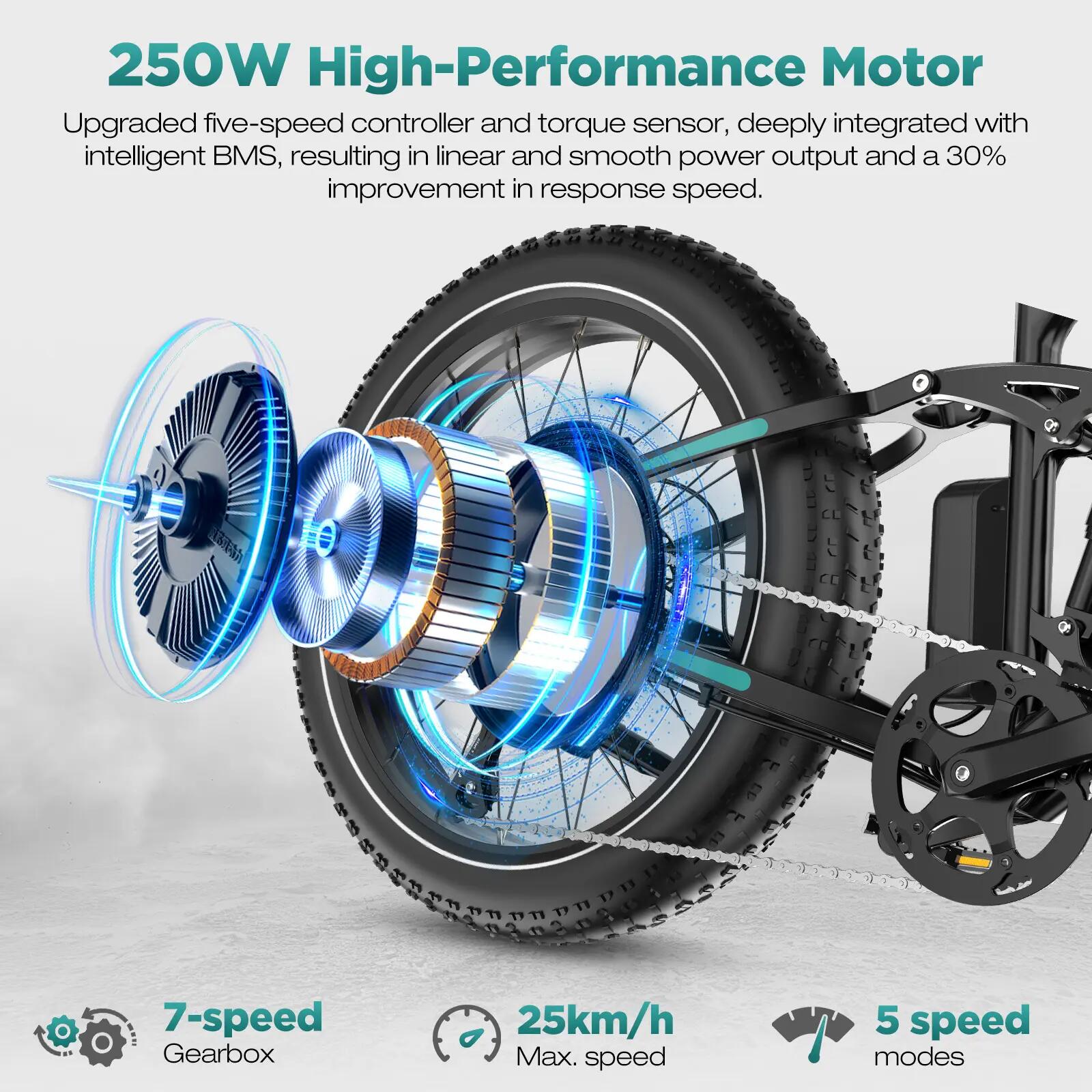 Bicicleta eléctrica Fat Bike BK9S, neumáticos 26x4.0, doble suspensión 5/10