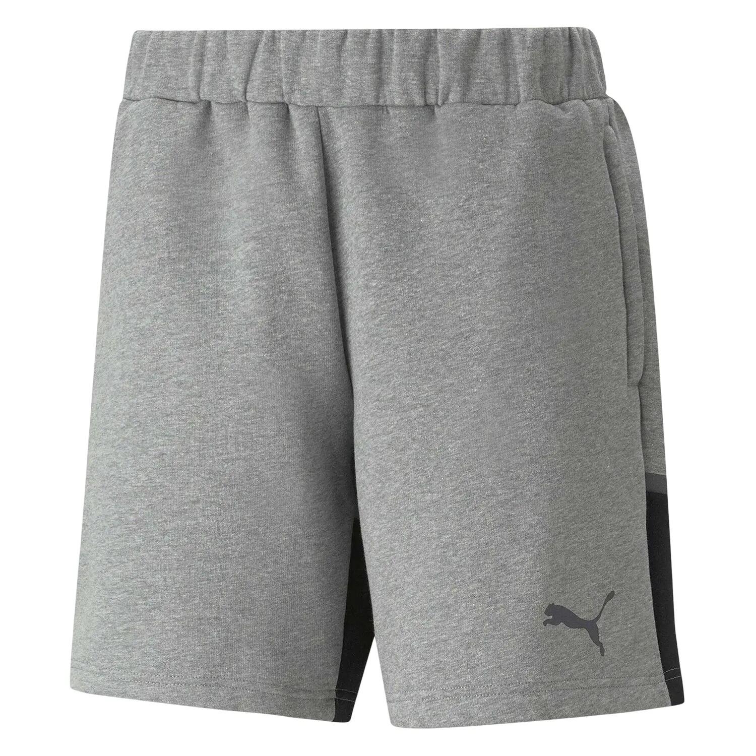 Puma Mens Teamcup Football Shorts