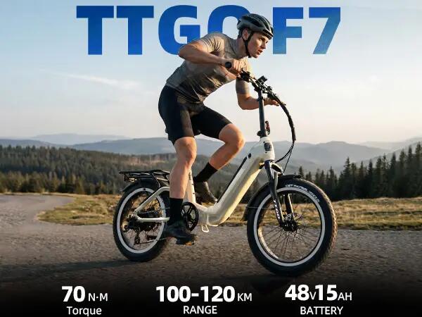 Bicicleta eléctrica TTGO F7, motor 250W batería 48V 15Ah, neumáticos 20 pulgadas 6/10