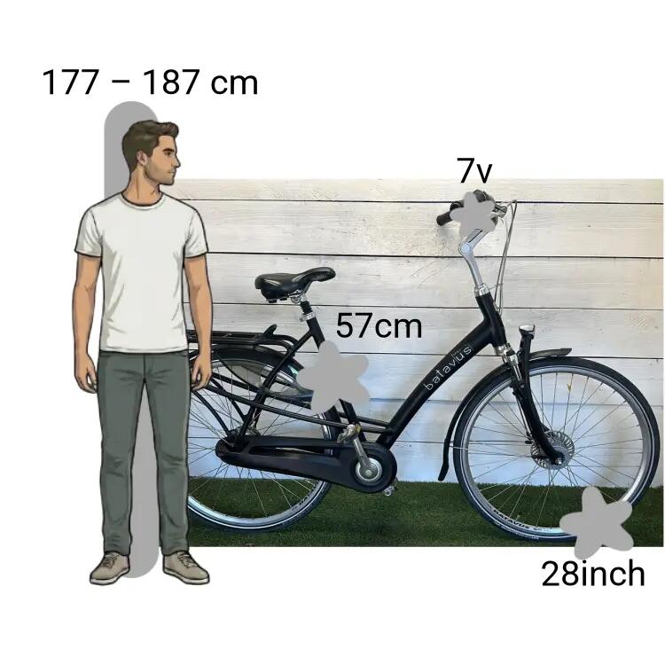 Bicicletta usata Batavus Mambo 2/4