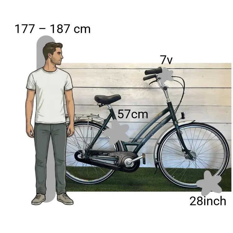 Bicicleta usada Gazelle Davos 2/4