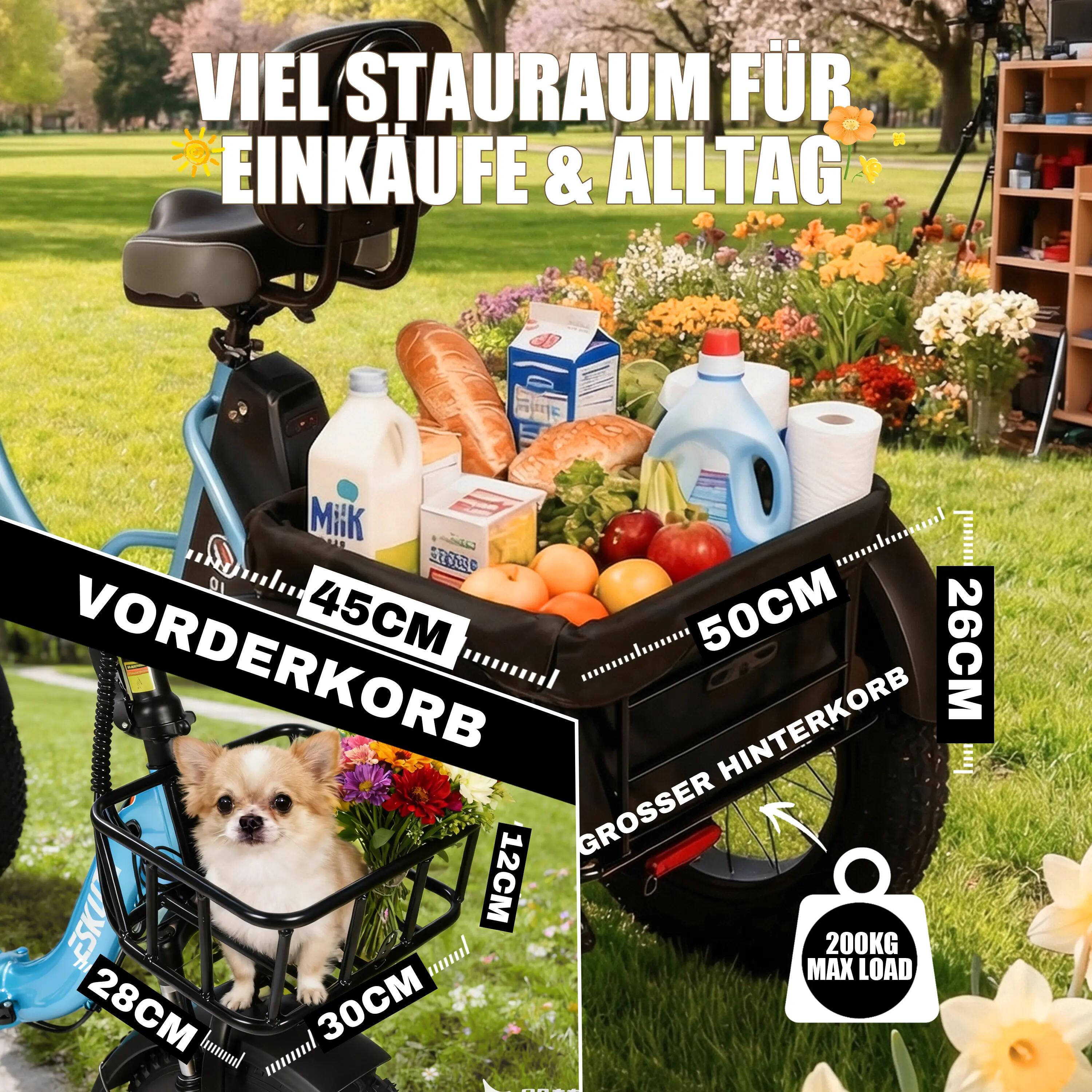 Triciclo elettrico ESKUTE T302Pro｜48V 20.8Ah Li-ion｜20" 5/6