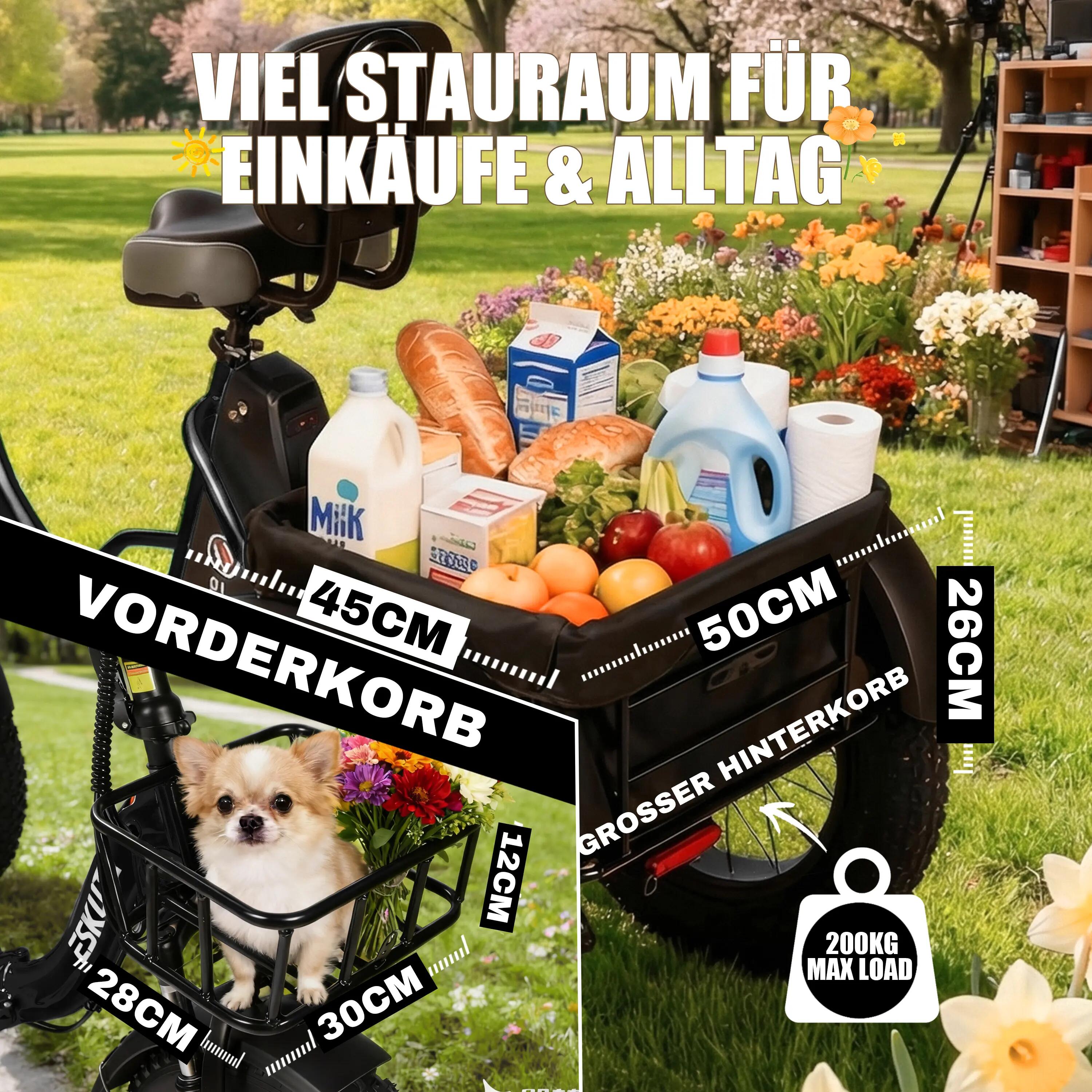 E-Dreirad ESKUTE T302Pro｜48V 20.8Ah Li-Ion｜20" Reifen 5/6
