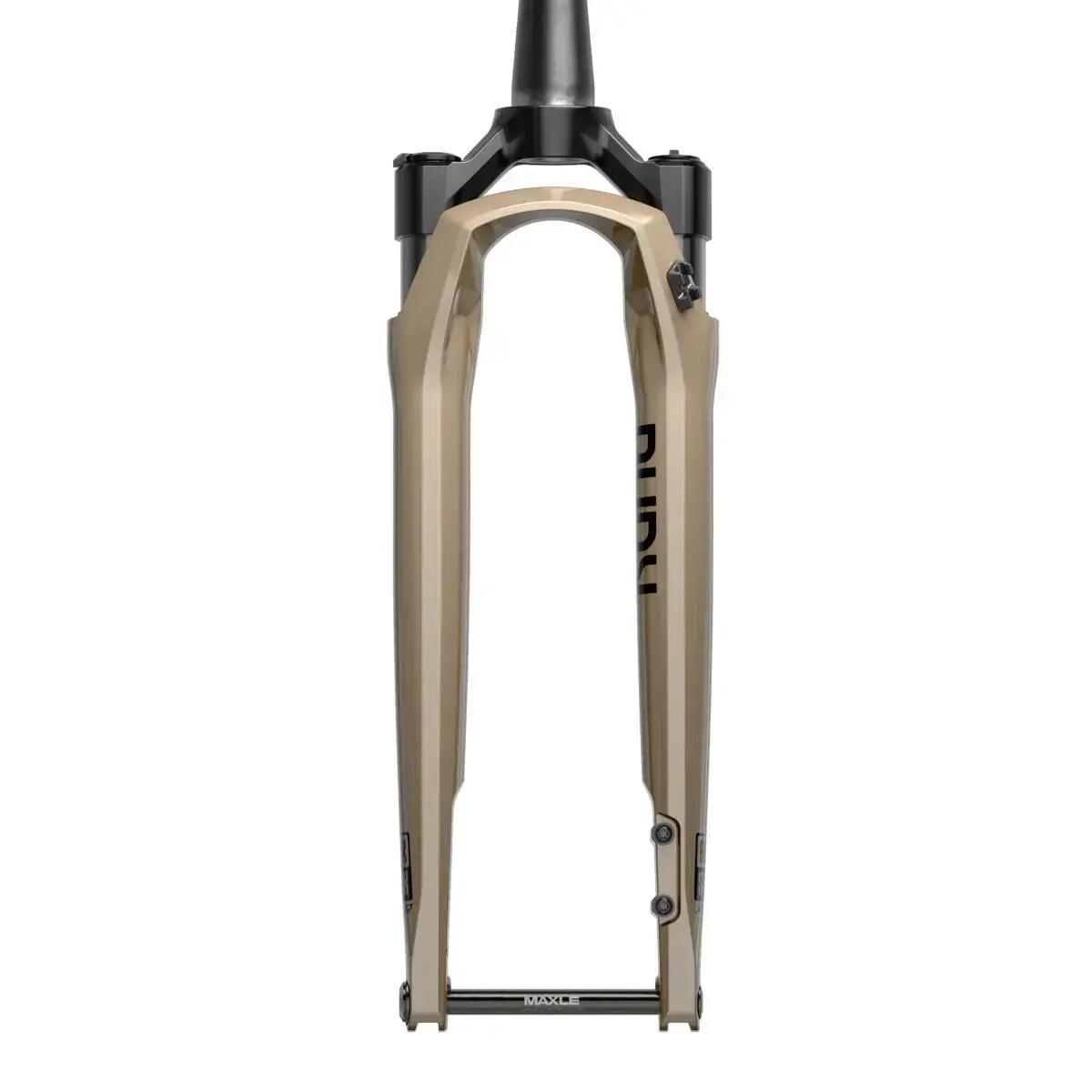 ROCK SHOX picture