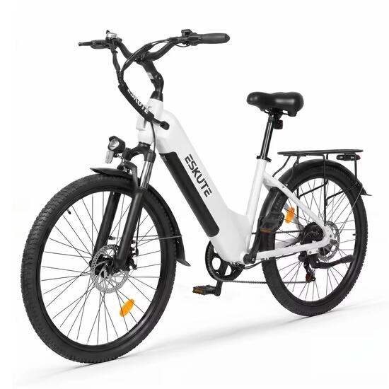 Vélo électrique C202 26", moteur 250W, batterie amovible 48V 17,5Ah, 7 vitesses